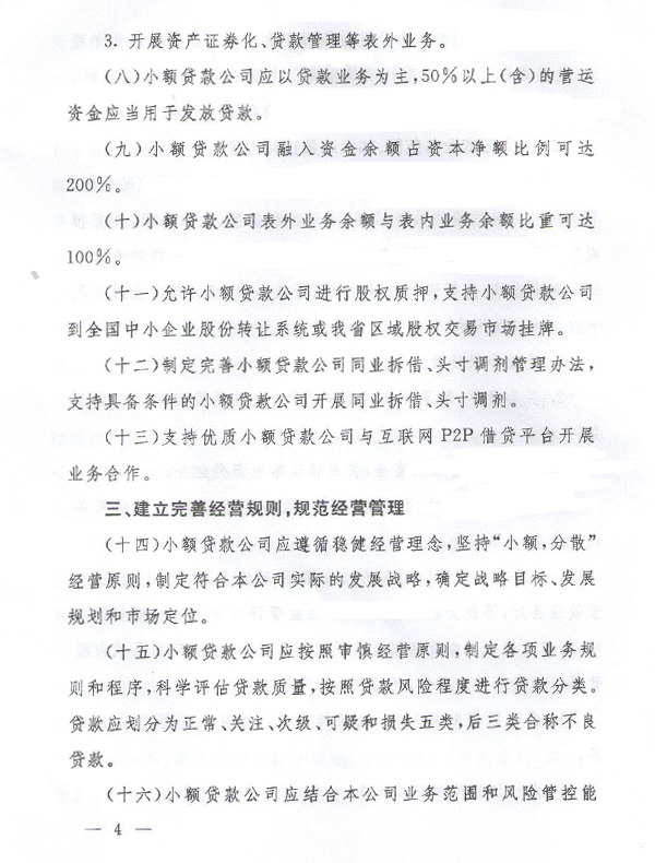 关于促进小额贷款公司健康发展的若干意见