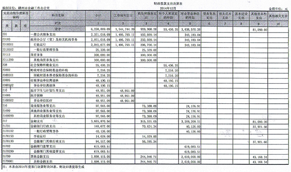 2014赣州市金融工作局财政拨款决算表