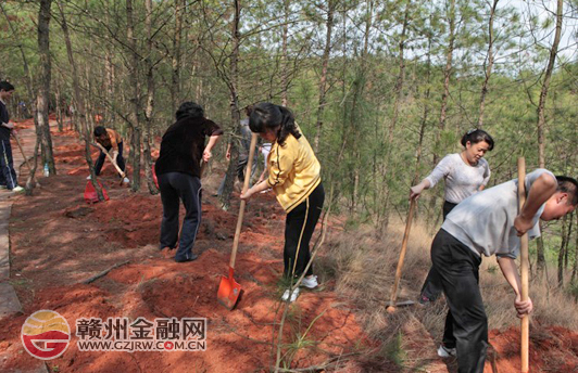 农发行赣州市分行组织开展植树活动