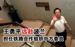 王勇平远赴波兰 韩江平接任发言人